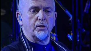 SledgeHammer  Peter Gabriel en Buenos Aires [upl. by Eimar178]