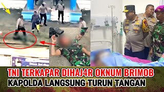 OKNUM BRIMOB HAJ4R TNI BERBUNTUT PANJANG KAPOLDA TURUN TANGAN [upl. by Rudy]