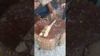 Pye cutting processing food streetfood [upl. by Nitin]