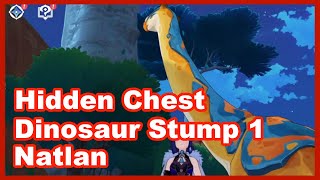 Hidden Chest Natlan  Dinosaur Stump 1 [upl. by Eralc559]