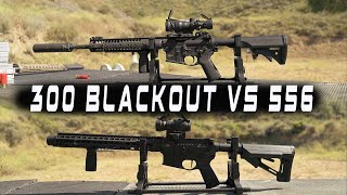 300 Blackout vs 556 [upl. by Aynad]