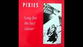 Pixies  All Over The World Live at Gloucester Leisure Centre [upl. by Mcfarland31]