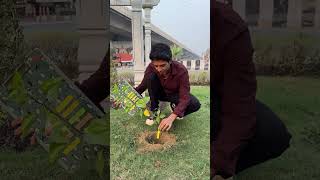 Planting 1 Lakh Trees 🌳 shortsfeed socialwork treeplanting [upl. by Eisenhart]