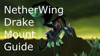 Netherwing Drake Guide [upl. by Anoit]