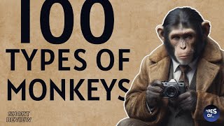 100 TYPES OF MONKEYS 🐒 [upl. by Eerol513]