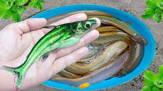 Catch small ornamental fish in Colorful Egg After The Rain Koi Ranchu Fish Sailfish perch shark [upl. by Netloc]