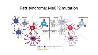 Rett Syndrome MeCP2 gene mutation Genetic disorder Code 186 [upl. by Greeley]