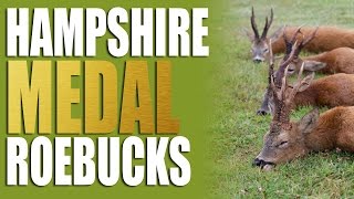 Hampshire Medal Roebucks [upl. by Sikleb]