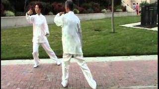 Two people mirror Tai Chi form 8 [upl. by Nnyroc]