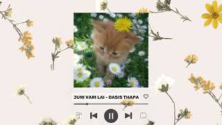 Juni Vari Lai  Oasis Thapa  Audio [upl. by Learrsi]