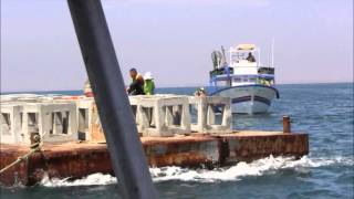 Film du Plan du cogestion des pêcheries côtières à SKHIRA ZABBOUSSA et KHAWARA en Tunisie [upl. by Rosalind]