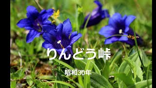 りんどう峠 昭和30年 cover [upl. by Blader]