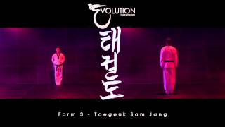 Evolution TaeKwonDo WTF Form 3 [upl. by Dewees]