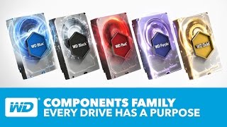 WD Devices Family  Every Drive Has a Purpose [upl. by Issi913]