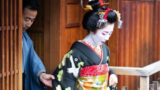 🇯🇵 美しい舞妓、京都の芸者 舞子さん Maiko Geisha in Kyoto  Joshi YOLO [upl. by Notloc]