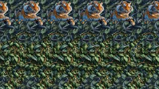 Animal Attraction 🐱  3D Stereogram Illusions [upl. by Halie]