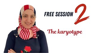 The karyotype Free sessions 2 [upl. by Eeruhs]