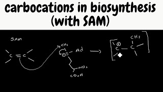 Biosynthesis pathways part 5  carbocations from SAM [upl. by Johnnie]