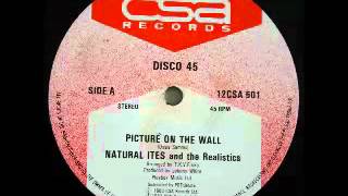 NATURAL ITES amp THE REALISTICS  Picture on the wall 1983 CSA Records [upl. by Esej]