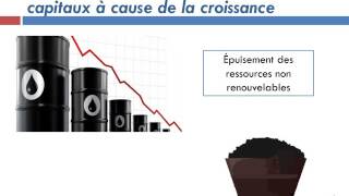 Les limites auxquelles se heurte la croissance [upl. by Middleton508]