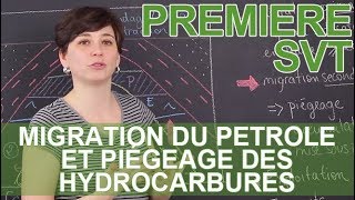 Migration du pétrole et piégeage des hydrocarbures  SVT  1ère  Les Bons Profs [upl. by Epilef456]