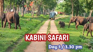 Close Elephants Encounter with Cubs in Kabini Safari [upl. by Lisle]