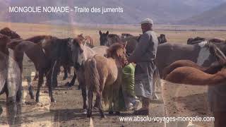 VOYAGE EN MONGOLIE  Traite des Juments chez les nomades [upl. by Eibba]