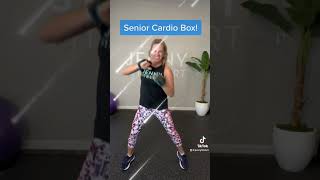 Cardio Boxing for seniors amp beginners Don’t let “boxing” intimate you  it’s fun amp easy to follow [upl. by Schaefer135]