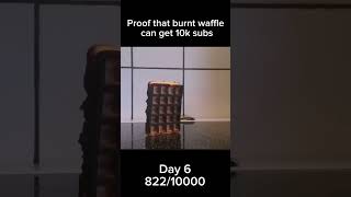 Proof that burnt waffle can get 10k subs Day 6 memes shorts waffle [upl. by Chute]