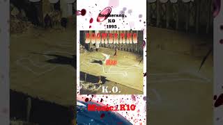 1995 Boomerang  Bird boomerangband bandrockindonesia fypyoutube fypシ゚viral fyp fypage [upl. by Fan]