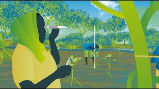 Mangrove Restoration  series  Video 4  Sustaining Mangroves Bahasa [upl. by Nohsyt740]