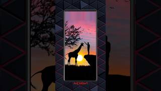 Boy And Giraffe wander foul moment picsart shorts video editing tutorial [upl. by Knah999]