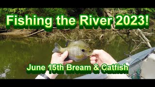 River Fishing June 15th Bream Redbreast amp Catfish [upl. by Whitaker923]