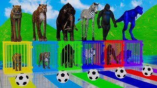 Max Level Long Legs Tiger Gorilla Zebra Dinosaur Fountain Crossing Transformation Cartoon Game [upl. by Akcirre]