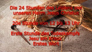 20e Stunde von 12 bis 13 Uhr Erste Stunde des Todeskampfs Jesus am Kreuz [upl. by Bultman]