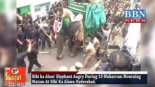 Bibi ka Alam Elephant Angry During 10 Muharram Mourning Matam At Bibi Ka Alawa Hyderabad  BBN NEWS [upl. by Linn]