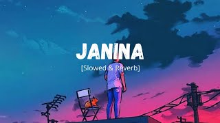 Janina Lofi Version ❣️  Slowed amp Reverb  Challenge  Nachiketa Chakraborty  Use Headphones 🎧 [upl. by Estell]