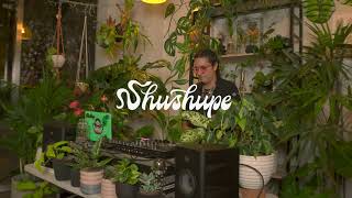 Tropical set en la Muyita by Shushupe [upl. by Paugh]