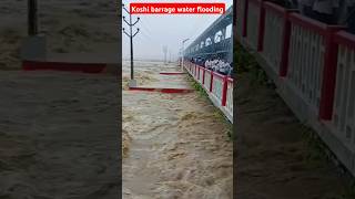 Huge water released in Koshi Barrage near BiharNepal border flood floods flooding floodalert [upl. by Server]