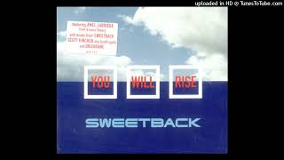 Sweetback feat Amel Larrieux  You Will Rise LP Radio Edit1997HD [upl. by Bethesda]