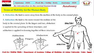 Anatomical Terms For Movements [upl. by Preciosa41]