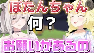 【角巻わため】わためのお願いに断れないぼたんちゃん【ホロライブ切り抜き角巻わためホロライブ4期生】 [upl. by Longmire]