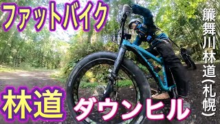 ファットバイク林道ダウンヒル [upl. by Akit163]