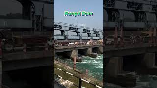 Apna Nangal Dam Most Beautiful View in Dam New Trending Short Viral Videos Subscribe like share [upl. by Chamkis]