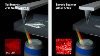 Atomic Force Microscopy  JPK NanoWizard® AFM  tip scanner vs sample scanner [upl. by Harbed82]