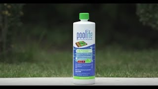 poolife® Defend® Algaecide [upl. by April566]