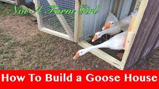 How to Build a Goose House [upl. by Nicolai791]