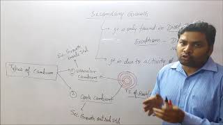 Secondary growth part1 Cambium amp its types [upl. by Matlick]