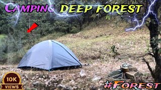 Winter 🥶 Group Camping amp Cooking  In Deep Forest  Camping In India  North Camper [upl. by Peppy699]