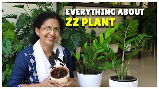 Everything About ZZ Plant  Varieties  Care  Tips [upl. by Liemaj]